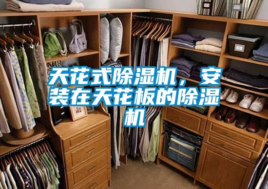 天花式除濕機，安裝在天花板的除濕機