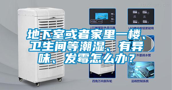 地下室或者家里一樓、衛生間等潮濕、有異味、發霉怎么辦？
