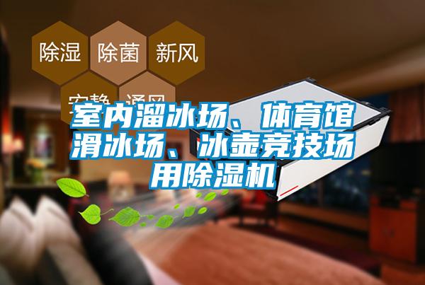 室內(nèi)溜冰場、體育館滑冰場、冰壺競技場用除濕機(jī)
