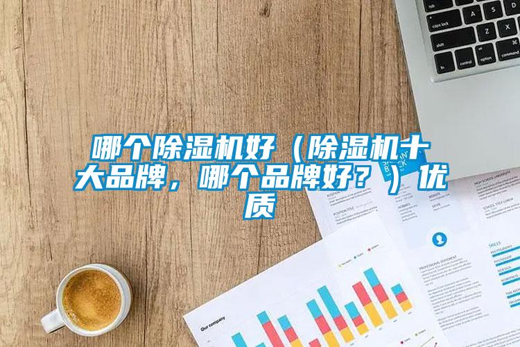 哪個除濕機好（除濕機十大品牌，哪個品牌好？）優質