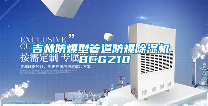 吉林防爆型管道防爆除濕機 BCGZ10