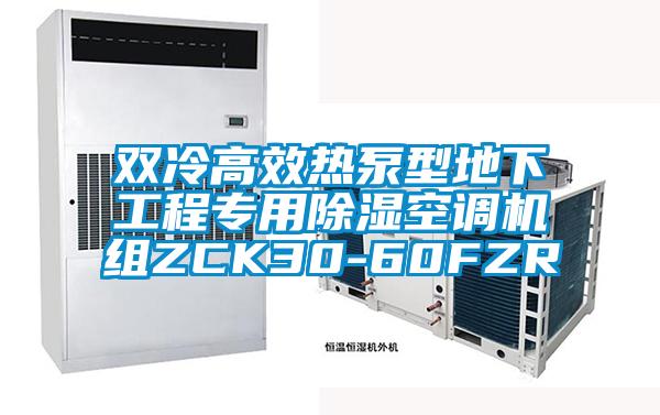 雙冷高效熱泵型地下工程專用除濕空調機組ZCK30-60FZR
