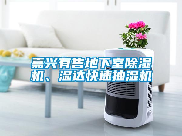 嘉興有售地下室除濕機、濕達快速抽濕機