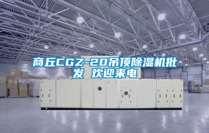 商丘CGZ-20吊頂除濕機批發 歡迎來電