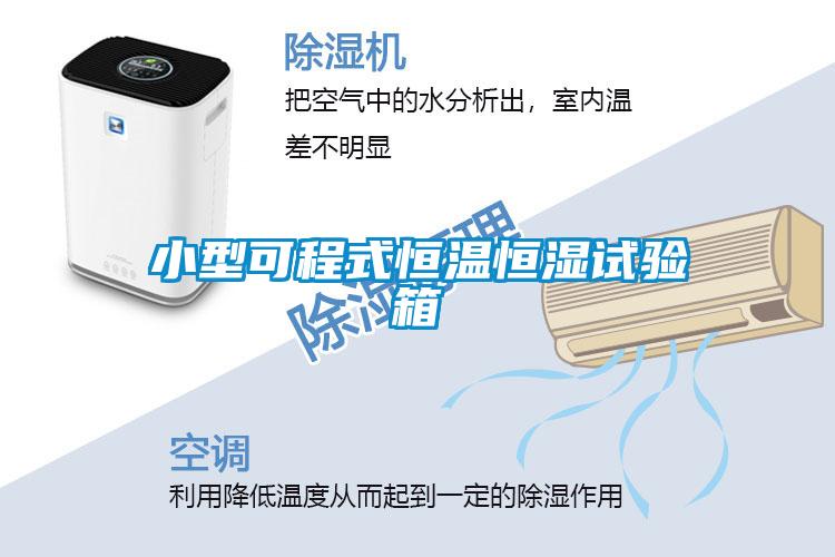 小型可程式恒溫恒濕試驗箱