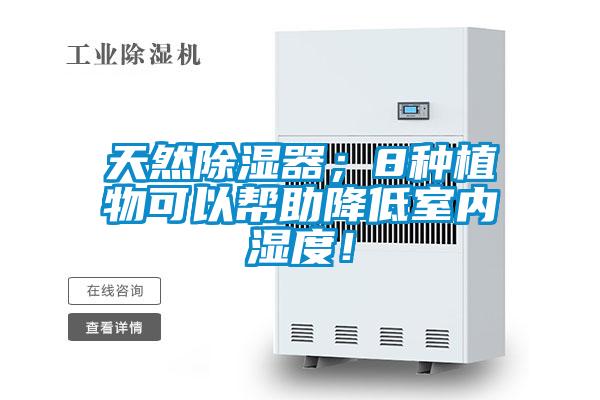 天然除濕器；8種植物可以幫助降低室內濕度！