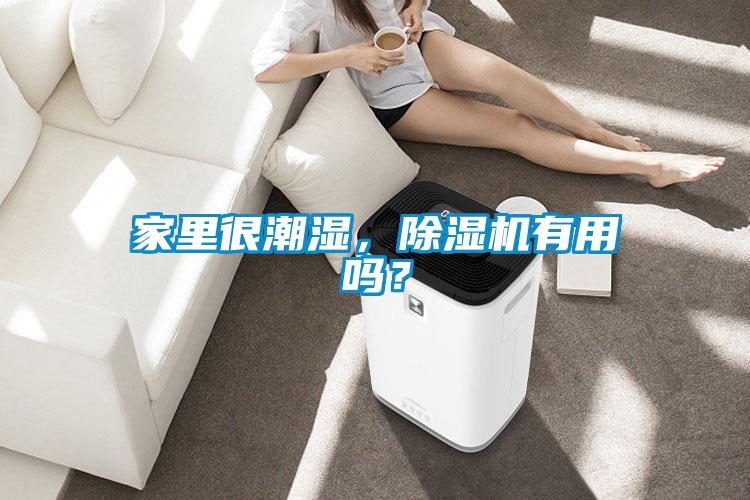 家里很潮濕，除濕機有用嗎？