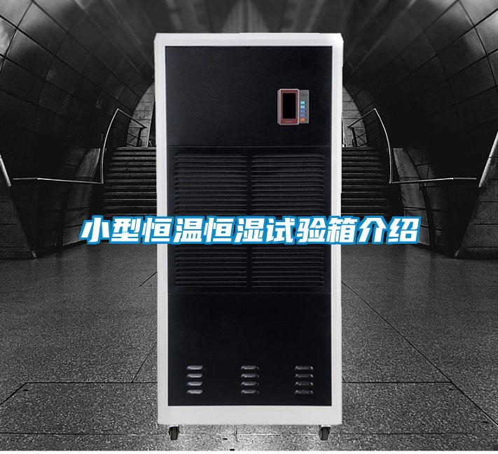 小型恒溫恒濕試驗箱介紹