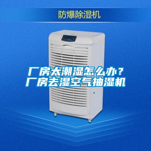 廠房太潮濕怎么辦？廠房去濕空氣抽濕機