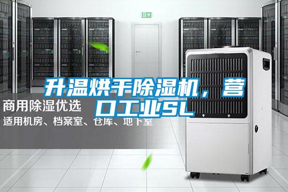 升溫烘干除濕機(jī)，營口工業(yè)SL