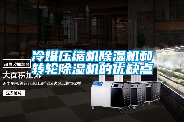 冷媒壓縮機(jī)除濕機(jī)和轉(zhuǎn)輪除濕機(jī)的優(yōu)缺點(diǎn)