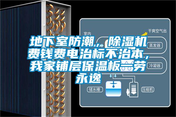地下室防潮，除濕機費錢費電治標不治本，我家鋪層保溫板一勞永逸