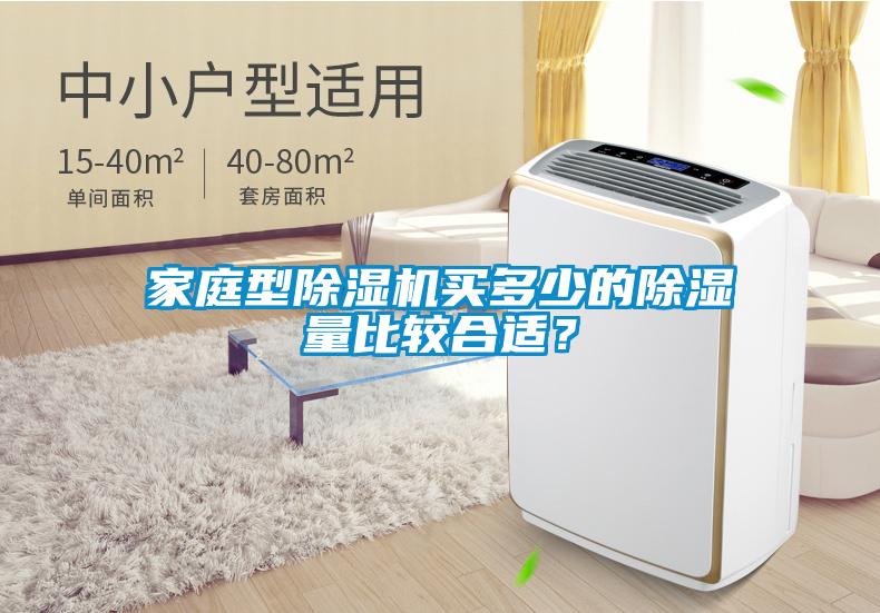 家庭型除濕機買多少的除濕量比較合適？