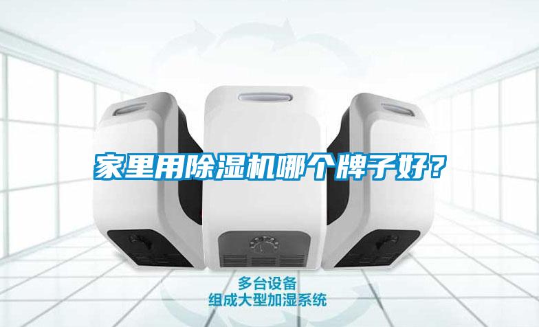 家里用除濕機哪個牌子好？