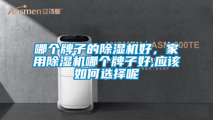 哪個牌子的除濕機好，家用除濕機哪個牌子好,應該如何選擇呢