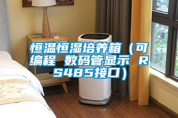 恒溫恒濕培養(yǎng)箱（可編程 數(shù)碼管顯示 RS485接口）