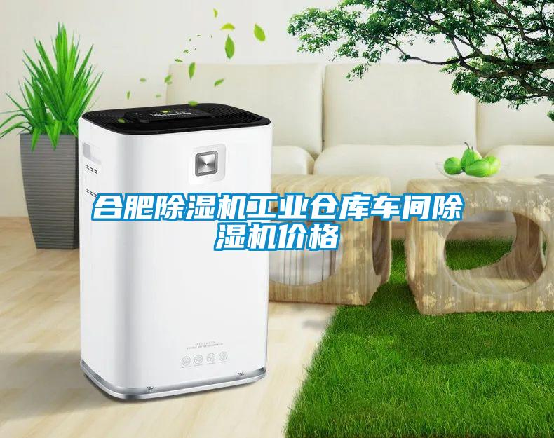 合肥除濕機工業(yè)倉庫車間除濕機價格