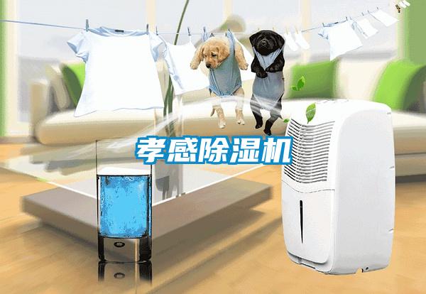 孝感除濕機(jī)