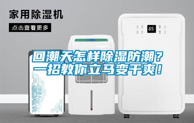 回潮天怎樣除濕防潮？一招教你立馬變干爽！