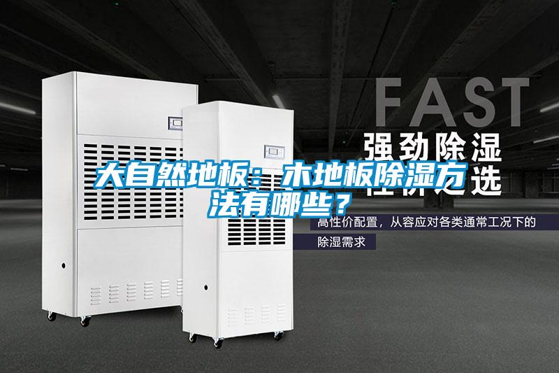 大自然地板：木地板除濕方法有哪些？