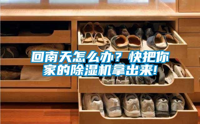 回南天怎么辦？快把你家的除濕機(jī)拿出來!
