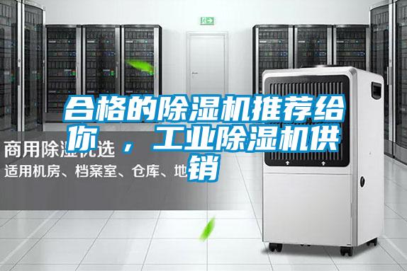 合格的除濕機推薦給你 ，工業除濕機供銷