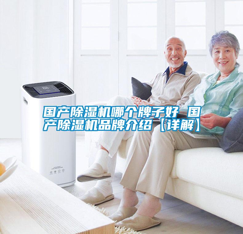 國產除濕機哪個牌子好 國產除濕機品牌介紹【詳解】