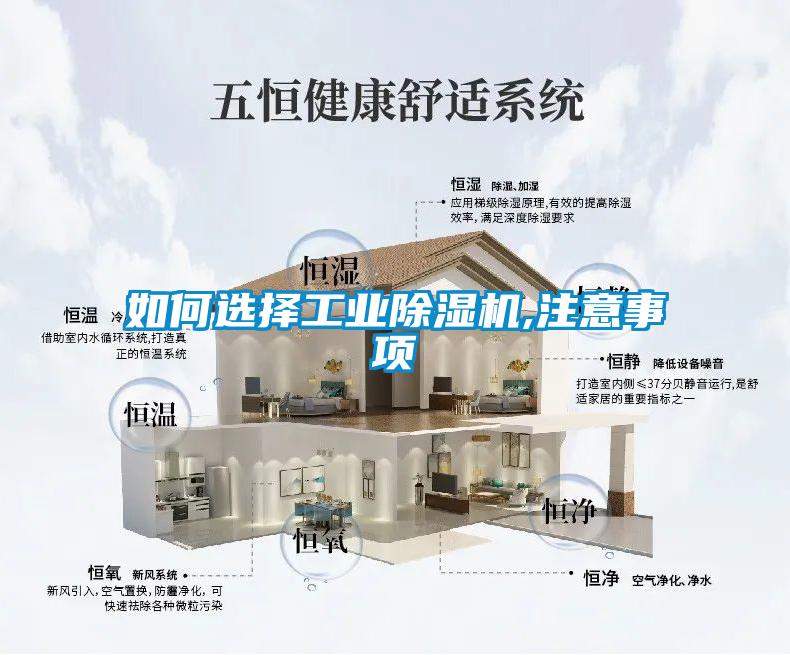 如何選擇工業除濕機,注意事項