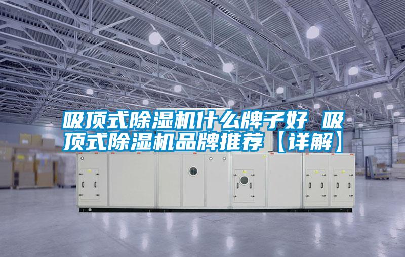 吸頂式除濕機(jī)什么牌子好 吸頂式除濕機(jī)品牌推薦【詳解】