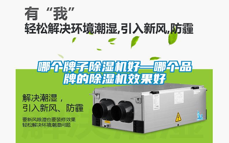 哪個(gè)牌子除濕機(jī)好—哪個(gè)品牌的除濕機(jī)效果好