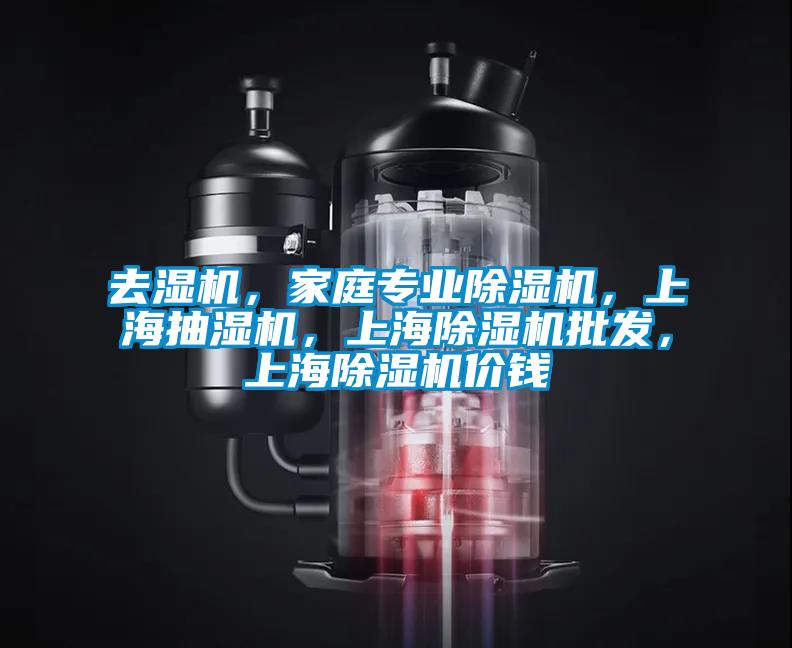 去濕機，家庭專業除濕機，上海抽濕機，上海除濕機批發，上海除濕機價錢