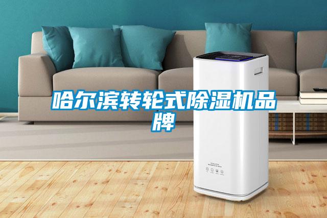 哈爾濱轉(zhuǎn)輪式除濕機品牌