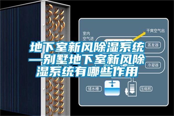 地下室新風除濕系統—別墅地下室新風除濕系統有哪些作用
