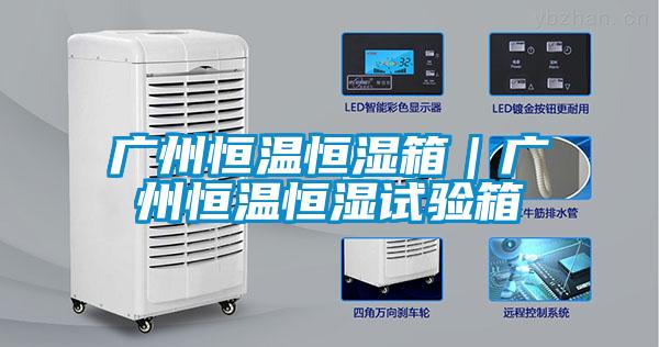 廣州恒溫恒濕箱｜廣州恒溫恒濕試驗箱