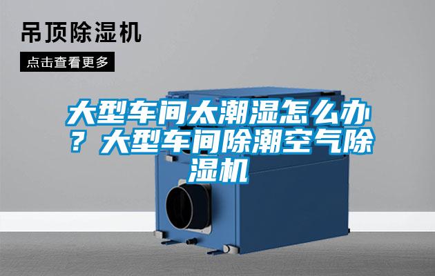 大型車間太潮濕怎么辦？大型車間除潮空氣除濕機