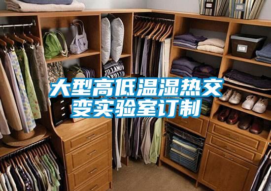 大型高低溫濕熱交變實驗室訂制