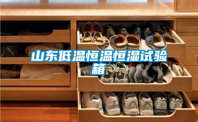 山東低溫恒溫恒濕試驗箱