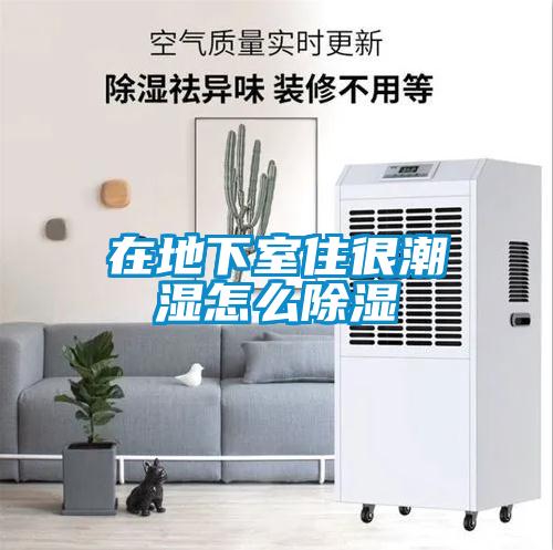 在地下室住很潮濕怎么除濕