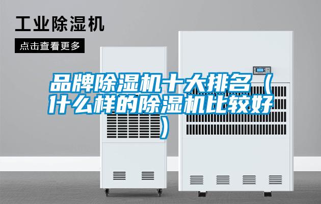 品牌除濕機十大排名（什么樣的除濕機比較好）