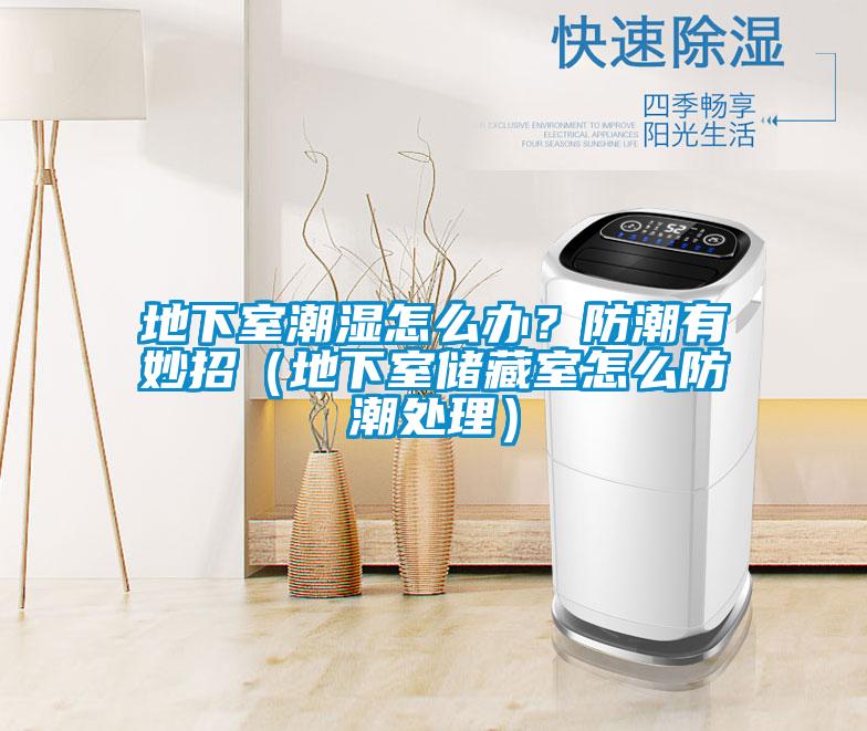 地下室潮濕怎么辦？防潮有妙招（地下室儲藏室怎么防潮處理）