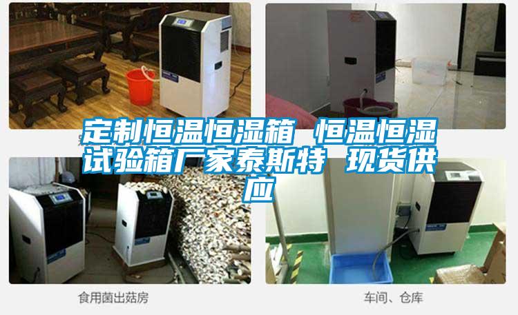 定制恒溫恒濕箱 恒溫恒濕試驗箱廠家泰斯特 現貨供應