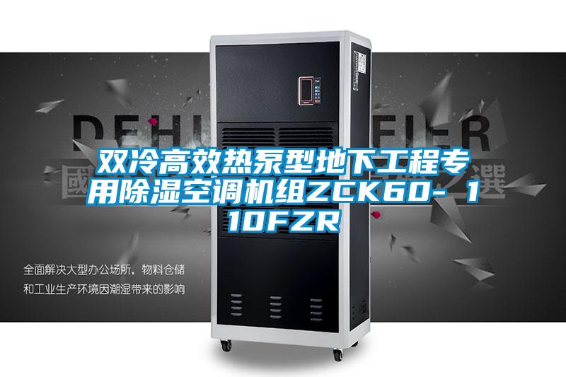 雙冷高效熱泵型地下工程專用除濕空調機組ZCK60- 110FZR