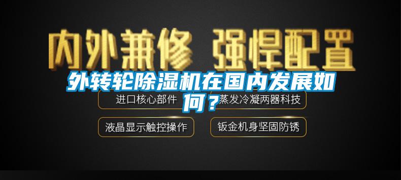 外轉輪除濕機在國內發展如何？