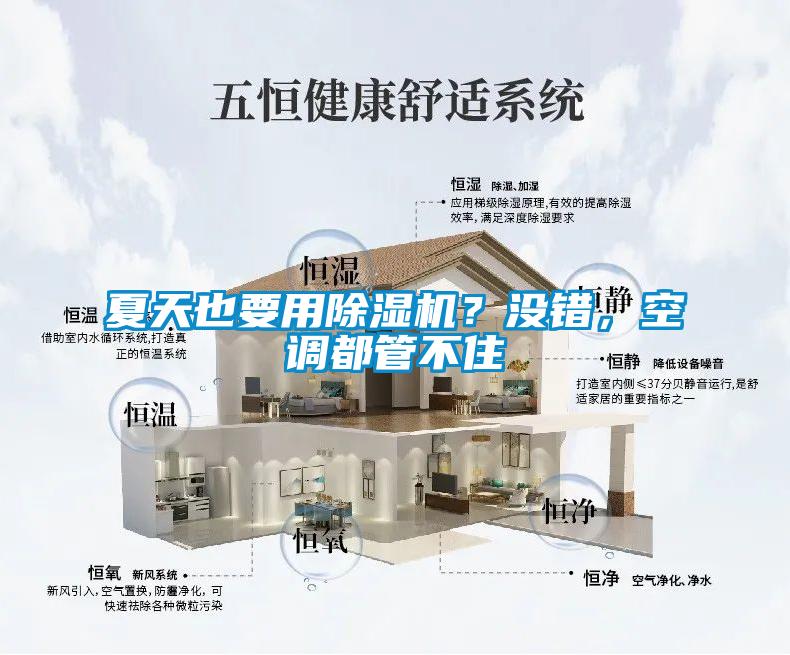 夏天也要用除濕機？沒錯，空調都管不住