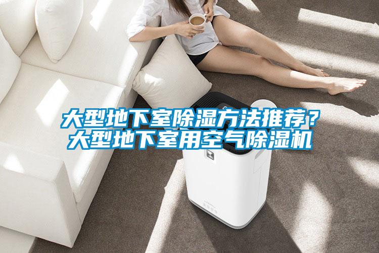 大型地下室除濕方法推薦？大型地下室用空氣除濕機