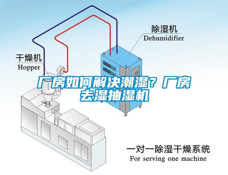 廠房如何解決潮濕？廠房去濕抽濕機(jī)