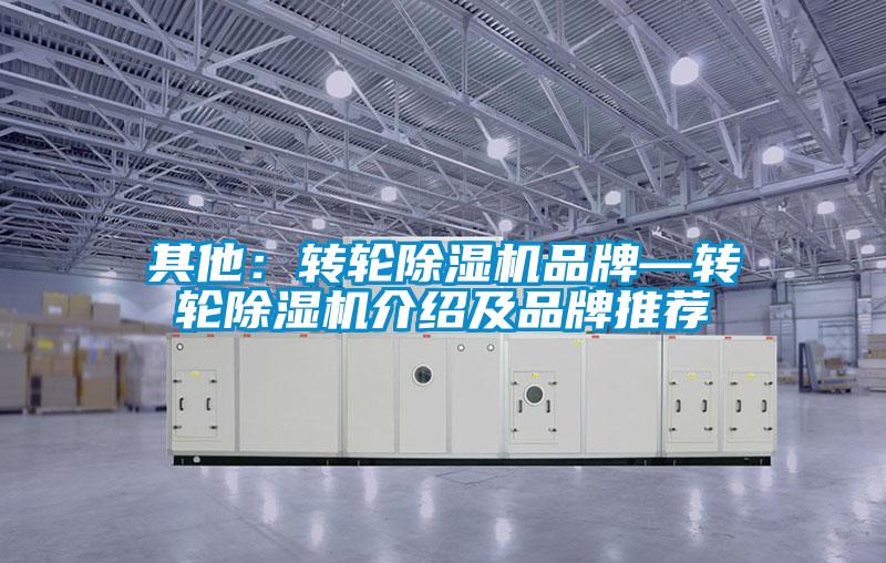 其他：轉(zhuǎn)輪除濕機(jī)品牌—轉(zhuǎn)輪除濕機(jī)介紹及品牌推薦