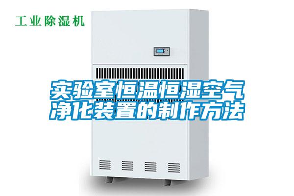 實驗室恒溫恒濕空氣凈化裝置的制作方法