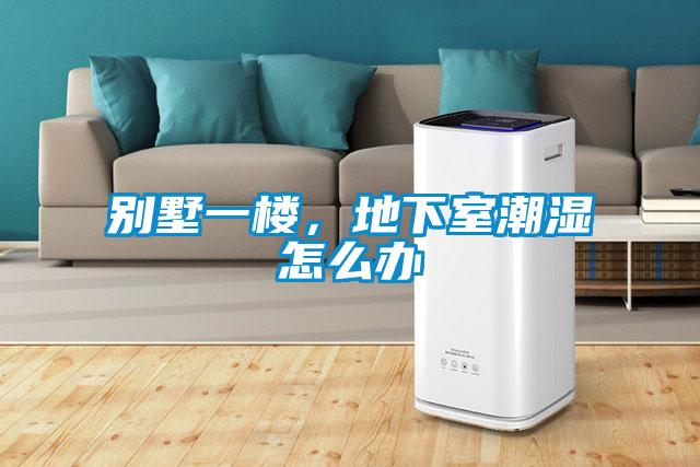 別墅一樓，地下室潮濕怎么辦