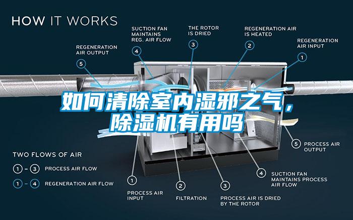 如何清除室內濕邪之氣，除濕機有用嗎